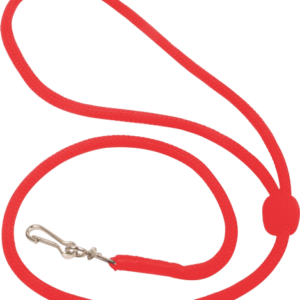 Lanyards