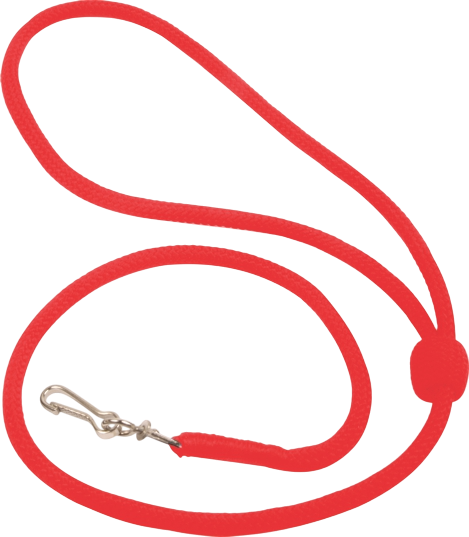 Lanyards