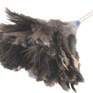 Feather Duster