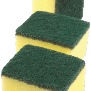 Scourer Sponge