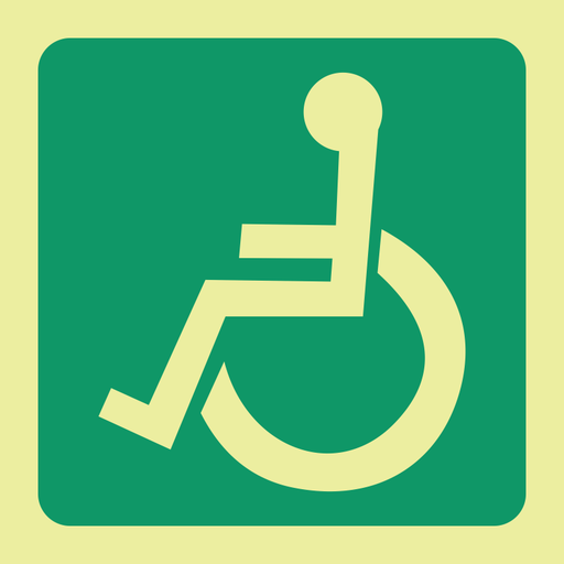E25 Disabled Toilets 190x190mm
