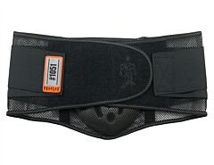 Ergodyne 20185 Proflex 1051 Mesh Back Support W/Lumbar Pad, Black, Large, 1/Each