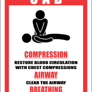 FA31 - CPR Is As Easy As C-A-B Bign