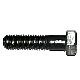 Morse 1168-P Hex Head Cap Screw, 1/2-13 X 2 Gr2