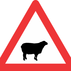 W312 - Domestic Animals (Sheep) Road Sign