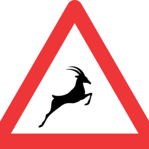 W313 - Wild Animals Ahead Road Sign