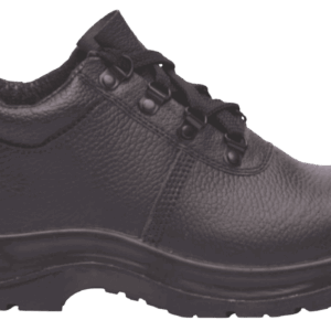 Limpopo Shoe