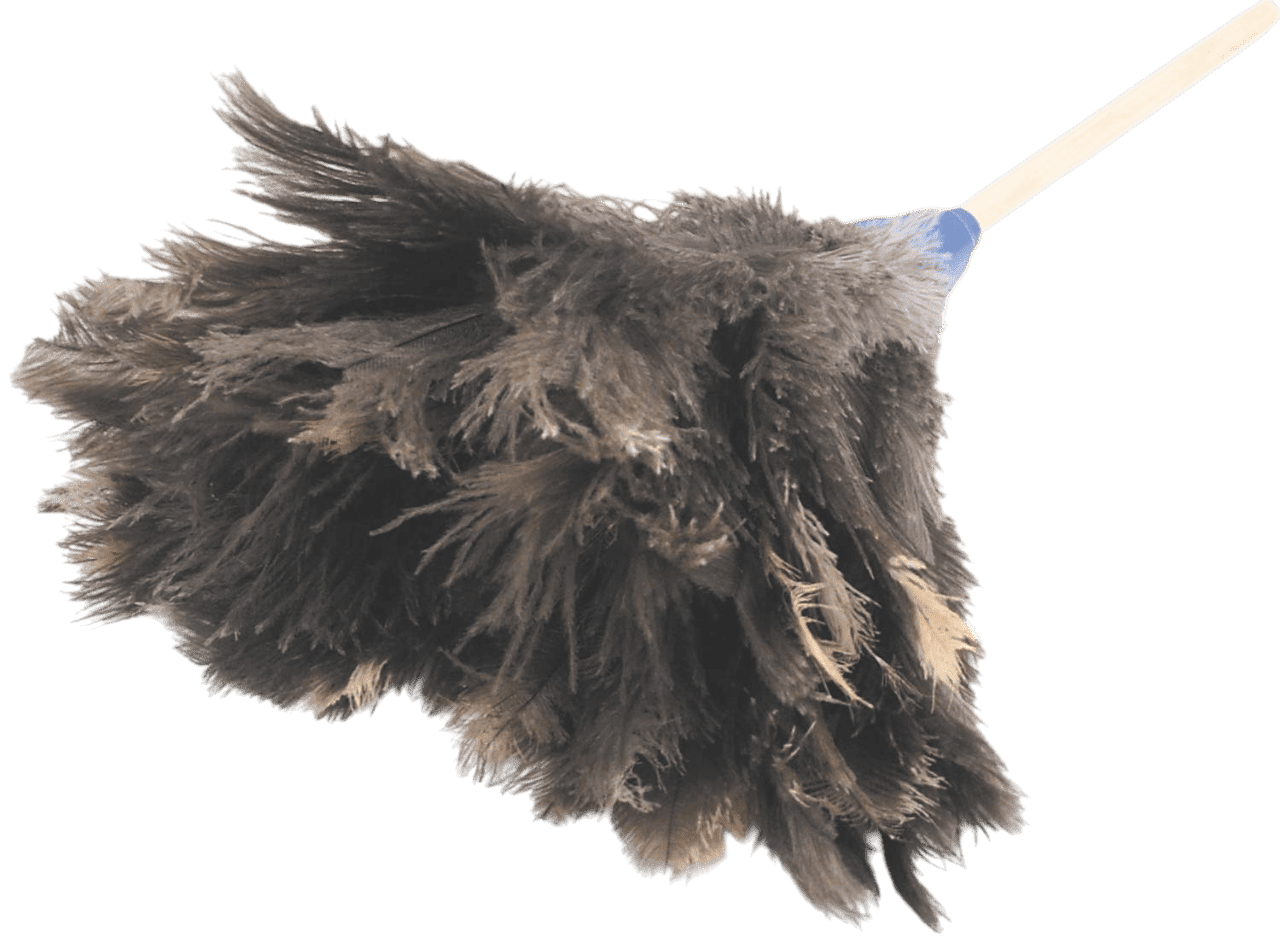 Feather Duster