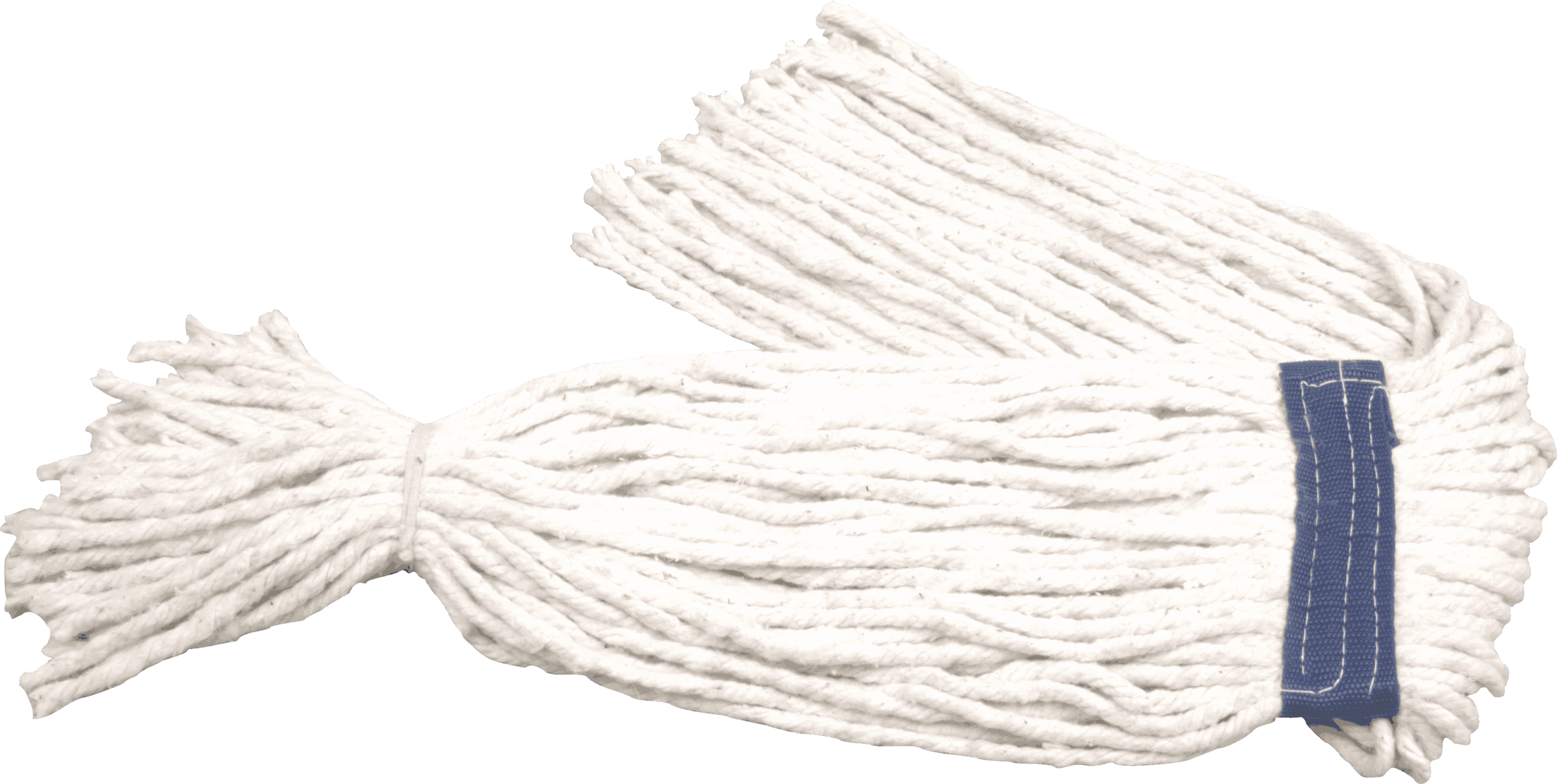 Hygiene Mop Head