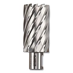 Dewalt Dwac02022 Annular Cutter, 1-3/8 In Cutter Dia, 2 In Cutting Depth, 2 In Oal, Bright Finish