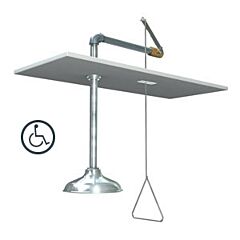 Guardian Gbf1658 Concealed Emergency Shower