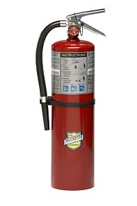 Buckeye 11340 10 Lb Abc Extinguisher W/ Auminum Valve & Wall Mount