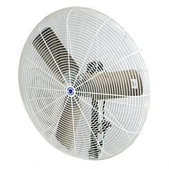Schaefer 30Cfo 30" Circulation Fan, White Osha Guards