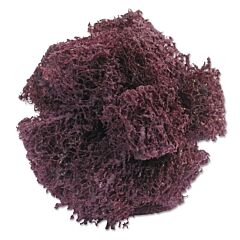 Merit Abrasives 8834189308 High-Strength Cross Buffs, 1 1/2 X 1/2, Medium