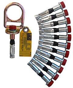 3M Dbi-Sala 2104562 Concrete D-Ring Anchor With Bolt (Twelve Pack)
