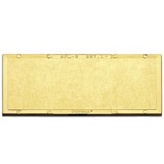 Radnor 64005060 2" X 4 14" Shade 8 Gold-Coated Polycarbonate Filter Plate