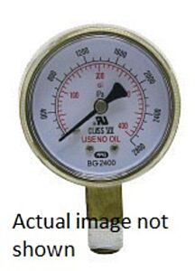 Radnor 64003426 1 12" X 100 Psi Steel Gold Gauge