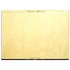 Radnor 64005037 4 1/2" X 5 14" Shade 8 Gold-Coated Polycarbonate Filter Plate