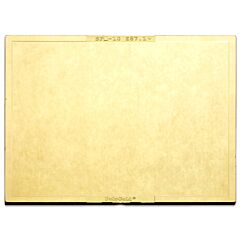 Radnor 64005040 4 1/2" X 5 14" Shade 10 Gold-Coated Polycarbonate Filter Plate