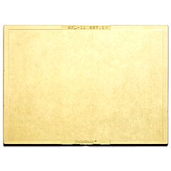Radnor 64005063 4 1/2" X 5 14" Shade 11 Gold-Coated Polycarbonate Filter Plate
