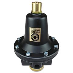 Coilhose Pneumatics 8804K Heavy Duty Regulator