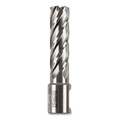 Dewalt Dwac02010 Annular Cutter, 5/8 In Cutter Dia, 2 In Cutting Depth, 2 In Oal, Bright Finish