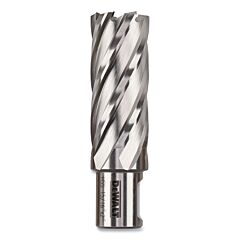Dewalt Dwac02015 Annular Cutter, 15/16 In Cutter Dia, 2 In Cutting Depth, 2 In Oal, Bright Finish