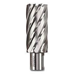 Dewalt Dwac02018 Annular Cutter, 1-1/8 In Cutter Dia, 2 In Cutting Depth, 2 In Oal, Bright Finish