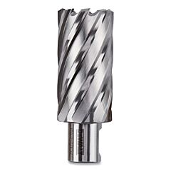 Dewalt Dwac02020 Annular Cutter, 1-1/4 In Cutter Dia, 2 In Cutting Depth, 2 In Oal, Bright Finish