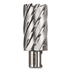 Dewalt Dwac02021 Annular Cutter, 1-5/16 In Cutter Dia, 2 In Cutting Depth, 2 In Oal, Bright Finish