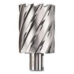 Dewalt Dwac02030 Annular Cutter, 1-7/8 In Cutter Dia, 2 In Cutting Depth, 2 In Oal, Bright Finish