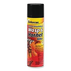 Zep Ewhik16 Instant Knockdown Wasp And Hornet Killer, 16 Oz Aerosol Can
