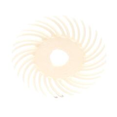 3M 048011-30097 Sr Radial Bristle Disc, 2 In Dia, 3/8 In Arbor, 80 Grit, 20000 Rpm, Ceramic, White