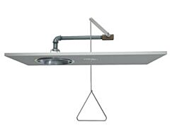 Guardian G1629 Concealed Emergency Shower