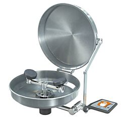 Guardian G1750Bc Wall Mounted Eye/Face Wash, Stainless Steel Bowl And Cover