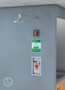 Guardian Gbf1672 Barrier-Free Horz Mounted Shower