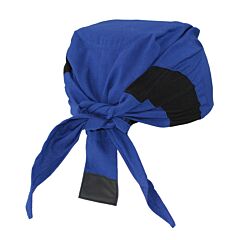 Radians Rcs305 Blue Cooling Headshade
